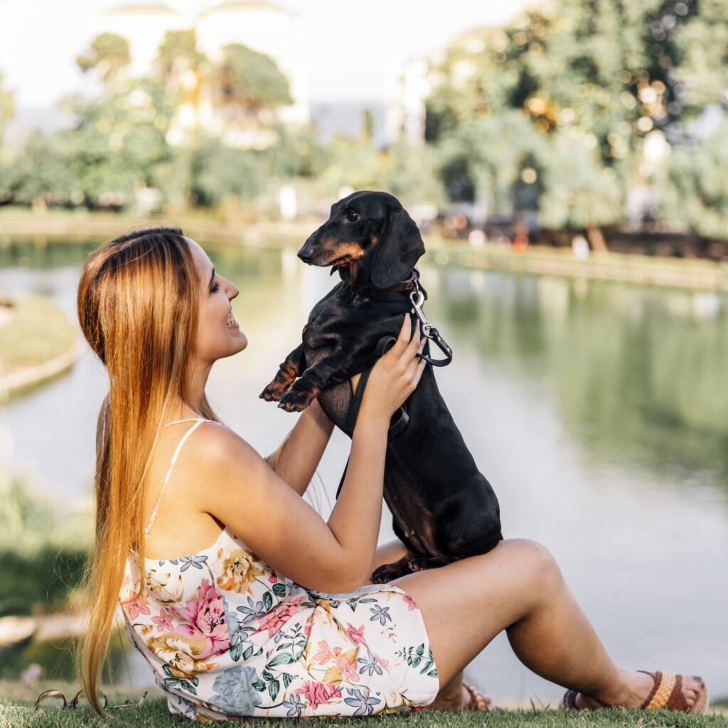 Opiniones la canovia